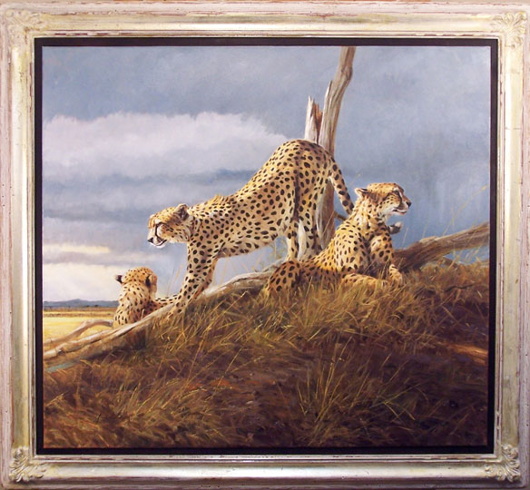 Breaking Sun Cheetah
