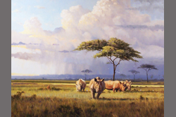 The Plains of Africa